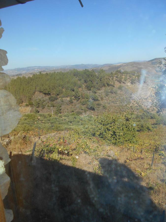 Casa Da Vinha Em Tabuaco - Douro Villa Bagian luar foto