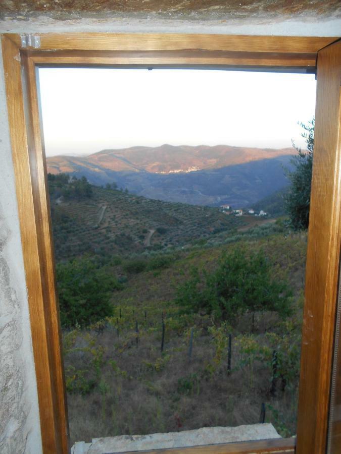 Casa Da Vinha Em Tabuaco - Douro Villa Bagian luar foto