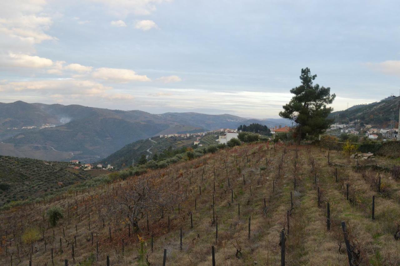 Casa Da Vinha Em Tabuaco - Douro Villa Bagian luar foto