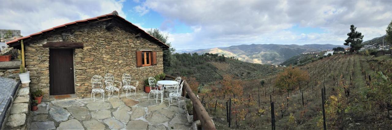 Casa Da Vinha Em Tabuaco - Douro Villa Bagian luar foto
